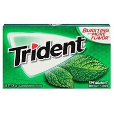 Trident Kaugummi Spearmint 32 g – Zuckerfrei